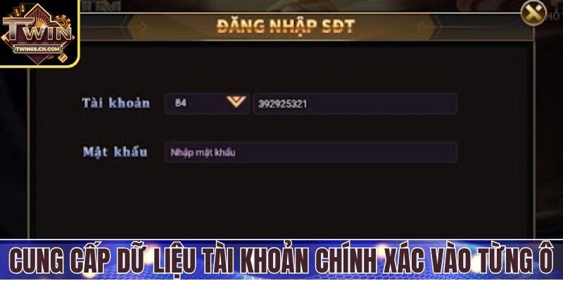 Cung cấp dữ liệu tài khoản chính xác vào từng ô