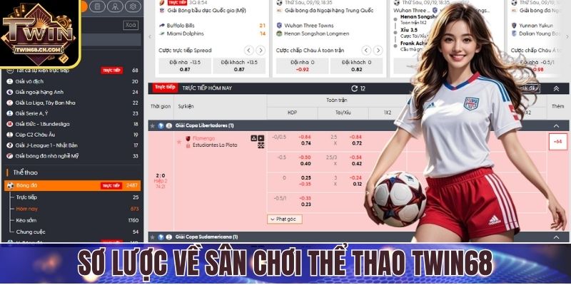 Sơ lược về thị trường thể thao Twin68