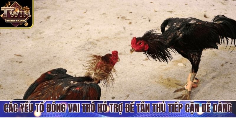Các yếu tố đóng vai trò hỗ trợ để tân thủ tiếp cận dễ dàng