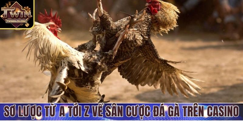 Sơ lược từ a tới z về sân cược đá gà trên casino