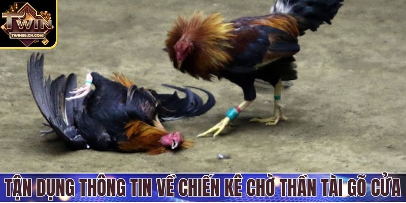 Tận dụng thông tin về chiến kê chờ thần tài gõ cửa