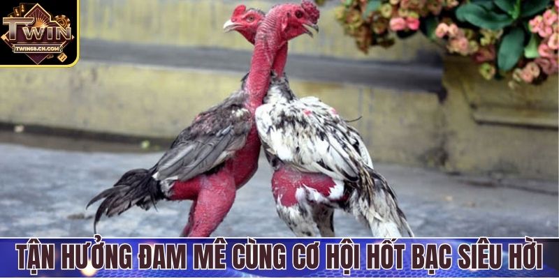 Tận hưởng đam mê cùng cơ hội hốt bạc siêu hời